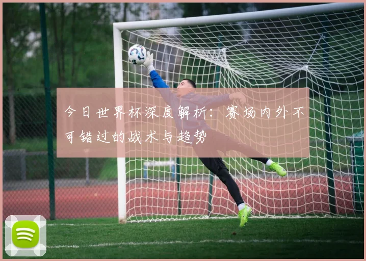 今日世界杯深度解析：赛场内外不可错过的战术与趋势